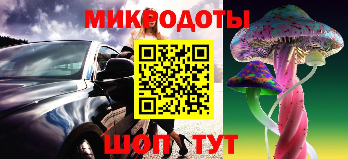 Галлюциногенные грибы Psilocybe Борисоглебск